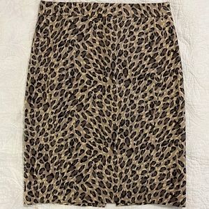 Ann Taylor LOFT Pencil Skirt